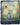 Andrea Damp: Wild Muse