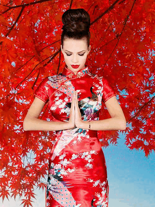Cécile Plaisance: Geisha